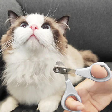Safe Hole Nail Cutter for Kittens and Cats